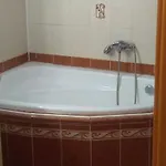 Holiday home Statek Hajek Nisovice