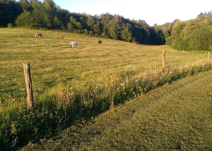 Statek Hajek Nisovice