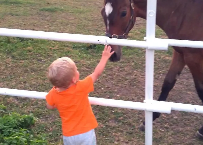 Statek Hajek Nisovice